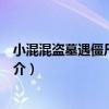 小混混盜墓遇僵尸：迷墓（關于小混混盜墓遇僵尸：迷墓簡介）