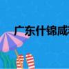 廣東什錦咸粽（關于廣東什錦咸粽介紹）