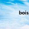 bois是什么意思啊（bois）