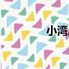 小灣莊（關于小灣莊簡介）