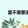 愛不需要承諾盛立平（愛不需要承諾）