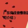 廣東偉佳音像制品有限公司（關于廣東偉佳音像制品有限公司介紹）