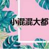 小混混大都市（關于小混混大都市簡介）
