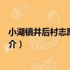 小湖鎮井后村志愿服務隊（關于小湖鎮井后村志愿服務隊簡介）