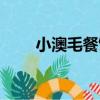 小澳毛餐飲（關于小澳毛餐飲簡介）