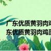 廣東優質黃羽肉雞蛋白質代謝的分子機制及其調控（關于廣東優質黃羽肉雞蛋白質代謝的分子機制及其調控介紹）