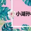 小湖孫村（關于小湖孫村簡介）