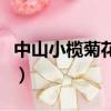 中山小欖菊花展門票多少錢（中山小欖菊花展）
