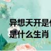 異想天開是什么生肖,解一個數字(異想天開是什么生肖)