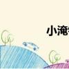 小淹鎮（關于小淹鎮簡介）
