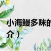 小海鰻多咪的誓言（關于小海鰻多咪的誓言簡介）