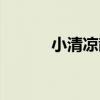 小清涼散（關于小清涼散簡介）