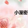 小漫密碼（關于小漫密碼簡介）