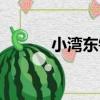 小灣東鎮（關于小灣東鎮簡介）