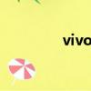 vivoz6和vivoz5（voz5）