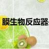膜生物反應器是生物膜法嗎（膜生物反應器）