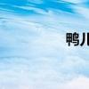鴨兒嫂黃梅戲(yeshm)