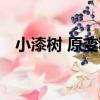 小漆樹 原變種（關于小漆樹 原變種簡介）