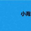 小海龍（關于小海龍簡介）