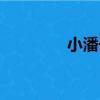 小潘子（關于小潘子簡介）