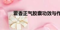 藿香正氣膠囊功效與作用(藿香)