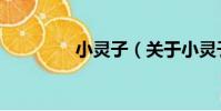 小靈子(關于小靈子簡介)