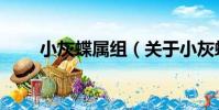 小灰蝶屬組(關于小灰蝶屬組簡介)