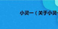 小靈一(關于小靈一簡介)