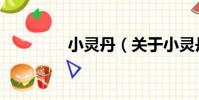 小靈丹(關于小靈丹簡介)