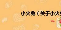 小火兔(關于小火兔簡介)
