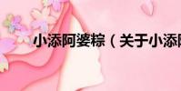 小添阿婆粽(關于小添阿婆粽簡介)