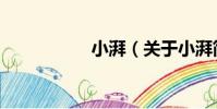 小湃(關于小湃簡介)