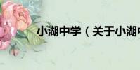 小湖中學(關于小湖中學簡介)