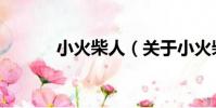 小火柴人(關于小火柴人簡介)