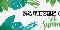 洗選煤工藝流程(洗選)