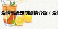 愛情高級定制劇情介紹(愛情高級定制評價)