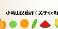 小灣山漢墓群(關于小灣山漢墓群簡介)