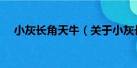 小灰長角天牛(關于小灰長角天牛簡介)