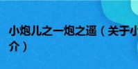 小炮兒之一炮之遙(關于小炮兒之一炮之遙簡介)