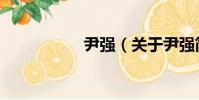 尹強(關于尹強簡介)