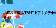 小炮灰被偏執王爺盯上了(關于小炮灰被偏執王爺盯上了簡介)