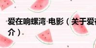 愛在響螺灣 電影(關于愛在響螺灣 電影的簡介)