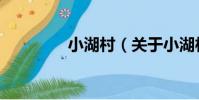 小湖村(關于小湖村簡介)