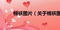 棉襖圖片(關于棉襖圖片的簡介)