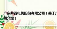 廣東井得電機股份有限公司(關于廣東井得電機股份有限公司介紹)