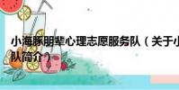 小海豚朋輩心理志愿服務隊(關于小海豚朋輩心理志愿服務隊簡介)