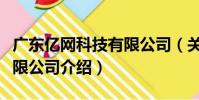廣東億網科技有限公司(關于廣東億網科技有限公司介紹)