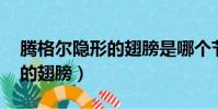騰格爾隱形的翅膀是哪個節目(騰格爾 隱形的翅膀)
