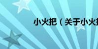 小火把(關于小火把簡介)