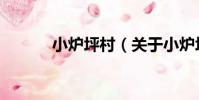 小爐坪村(關于小爐坪村簡介)